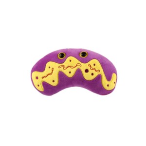 Dr Olivers Giant Microbes Mitochondria